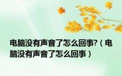 电脑没有声音了怎么回事?（电脑没有声音了怎么回事）