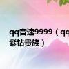 qq音速9999（qq音速紫钻贵族）