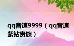 qq音速9999（qq音速紫钻贵族）