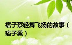 痞子蔡轻舞飞扬的故事（痞子蔡）