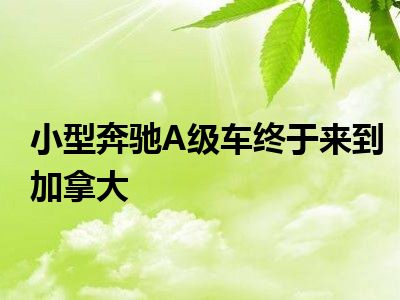 小型奔驰A级车终于来到加拿大