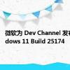 微软为 Dev Channel 发布 Windows 11 Build 25174