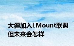 大疆加入LMount联盟但未来会怎样