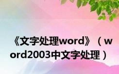 《文字处理word》（word2003中文字处理）