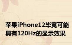 苹果iPhone12毕竟可能具有120Hz的显示效果