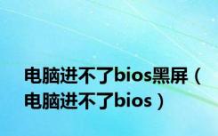 电脑进不了bios黑屏（电脑进不了bios）