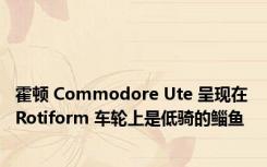 霍顿 Commodore Ute 呈现在 Rotiform 车轮上是低骑的鲻鱼