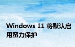 Windows 11 将默认启用蛮力保护