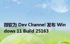 微软为 Dev Channel 发布 Windows 11 Build 25163