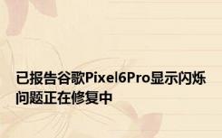 已报告谷歌Pixel6Pro显示闪烁问题正在修复中