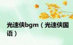 光速侠bgm（光速侠国语）