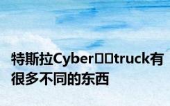 特斯拉Cyber​​truck有很多不同的东西