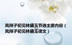 凤辣子初见林黛玉节选主要内容（凤辣子初见林黛玉课文）