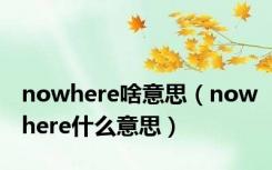 nowhere啥意思（nowhere什么意思）