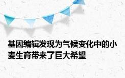 基因编辑发现为气候变化中的小麦生育带来了巨大希望