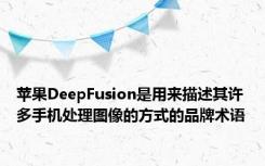 苹果DeepFusion是用来描述其许多手机处理图像的方式的品牌术语