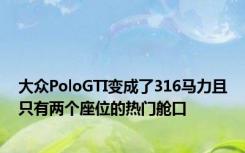 大众PoloGTI变成了316马力且只有两个座位的热门舱口