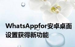 WhatsAppfor安卓桌面设置获得新功能