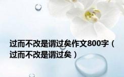 过而不改是谓过矣作文800字（过而不改是谓过矣）