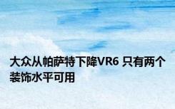 大众从帕萨特下降VR6 只有两个装饰水平可用