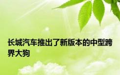 长城汽车推出了新版本的中型跨界大狗