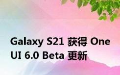 Galaxy S21 获得 One UI 6.0 Beta 更新