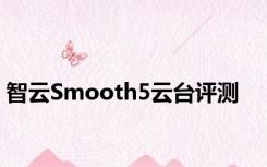 智云Smooth5云台评测