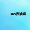 suv费油吗