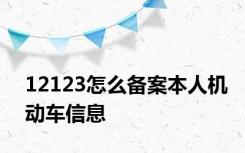 12123怎么备案本人机动车信息