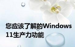 您应该了解的Windows11生产力功能