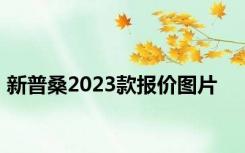 新普桑2023款报价图片