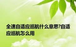 全速自适应巡航什么意思?自适应巡航怎么用