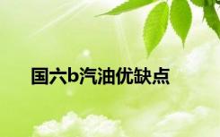 国六b汽油优缺点