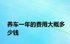 养车一年的费用大概多少钱