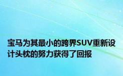 宝马为其最小的跨界SUV重新设计头枕的努力获得了回报