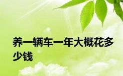 养一辆车一年大概花多少钱