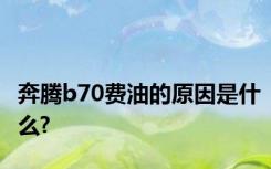 奔腾b70费油的原因是什么?