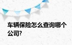 车辆保险怎么查询哪个公司?