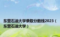 东营石油大学录取分数线2023（东营石油大学）