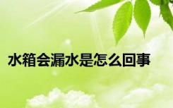 水箱会漏水是怎么回事