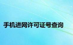 手机进网许可证号查询