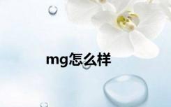 mg怎么样