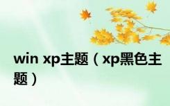 win xp主题（xp黑色主题）