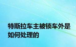 特斯拉车主被锁车外是如何处理的