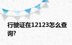 行驶证在12123怎么查询?