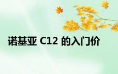 诺基亚 C12 的入门价