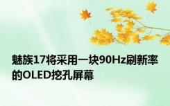 魅族17将采用一块90Hz刷新率的OLED挖孔屏幕