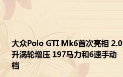 大众Polo GTI Mk6首次亮相 2.0升涡轮增压 197马力和6速手动档