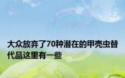 大众放弃了70种潜在的甲壳虫替代品这里有一些