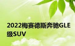 2022梅赛德斯奔驰GLE级SUV